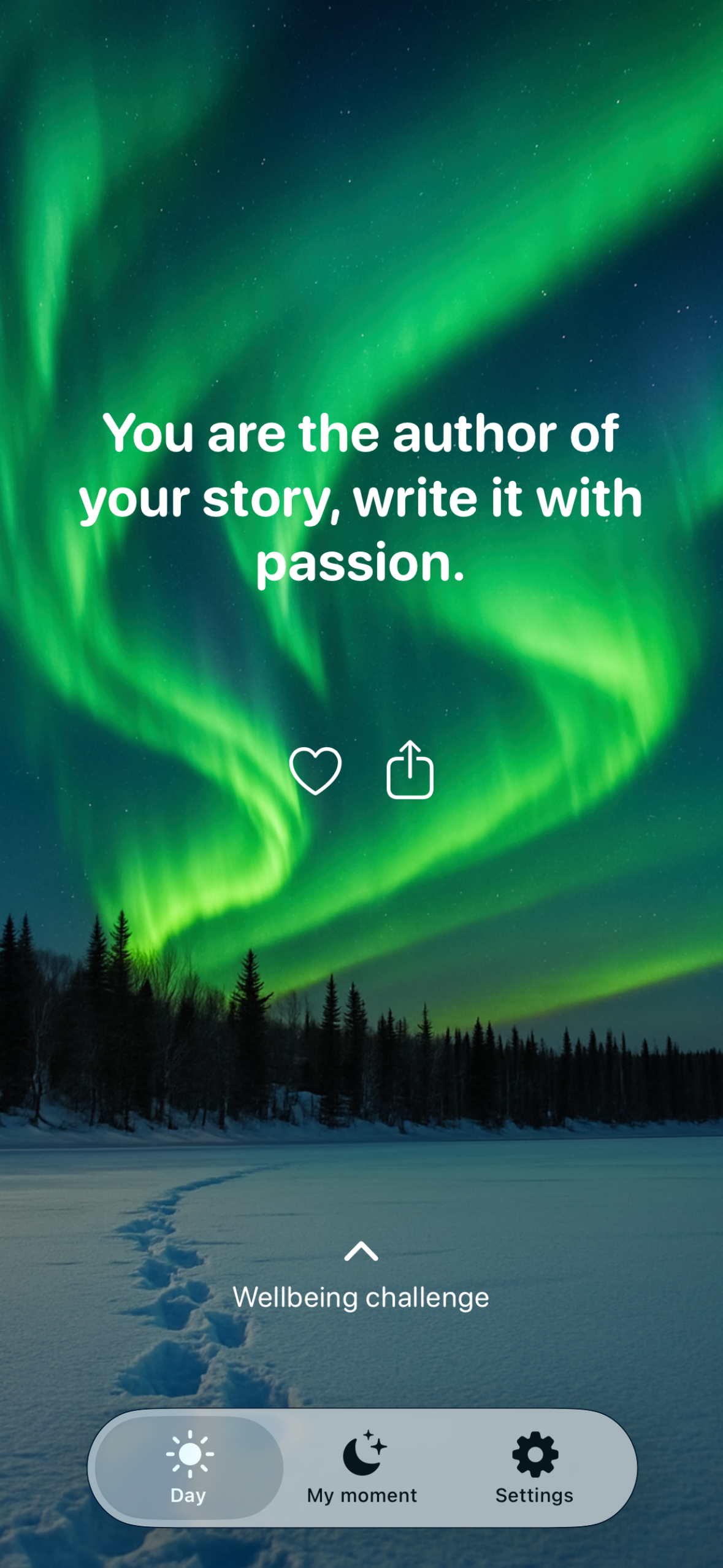 Nelymo winter background